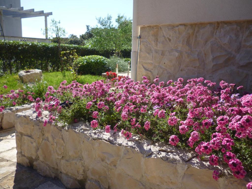 Villa Luna With Seaview بيتريتْشاني الغرفة الصورة